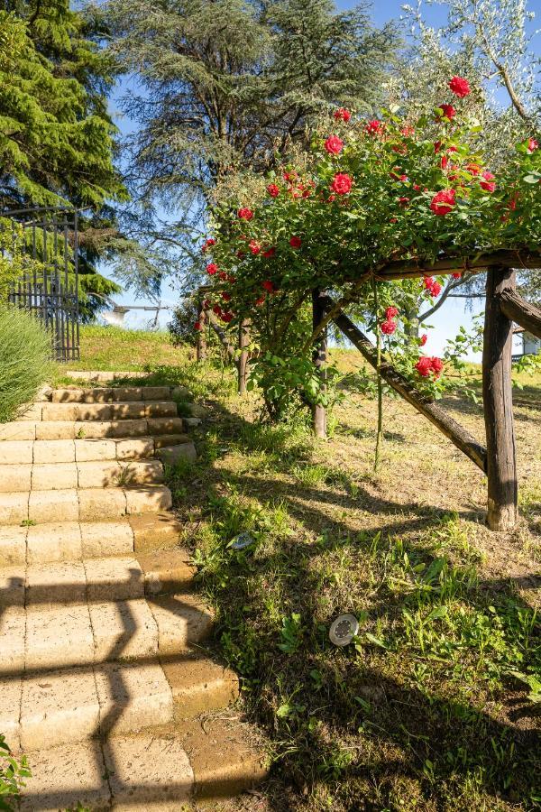 Agriturismo Bellandi Santa Lucia  Exterior foto
